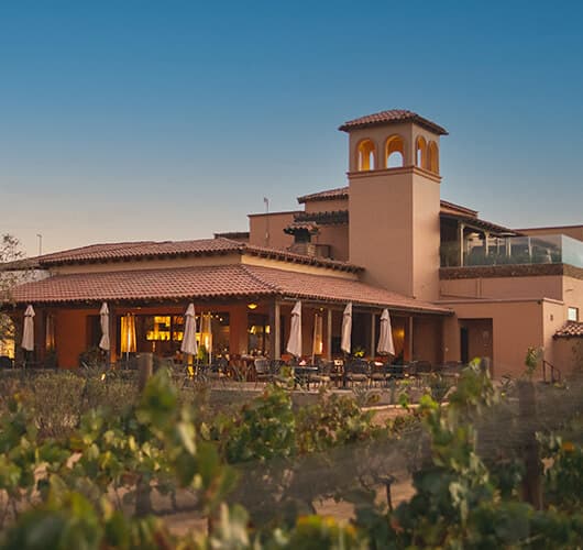 Latitud 32 restaurant at El Cielo, with vineyards in the foreground.